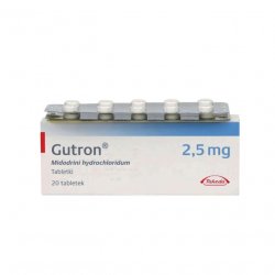 Гутрон таблетки 2,5 мг. №20 в Сарапуле и области фото
