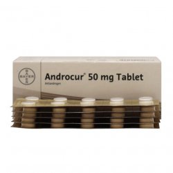 Андрокур (Ципротерон) таблетки 50мг №50 в Сарапуле и области фото